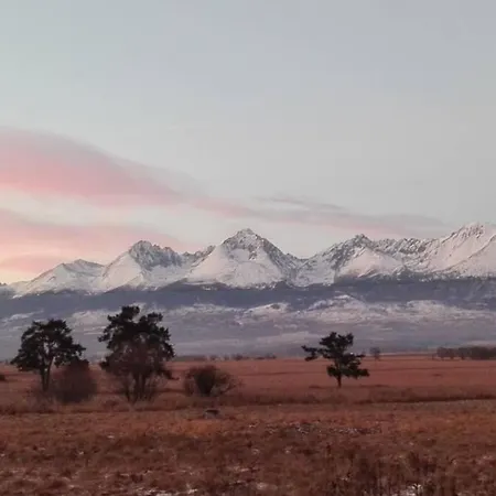 Tatra Mountains View Open-space Apartment, N.92 *