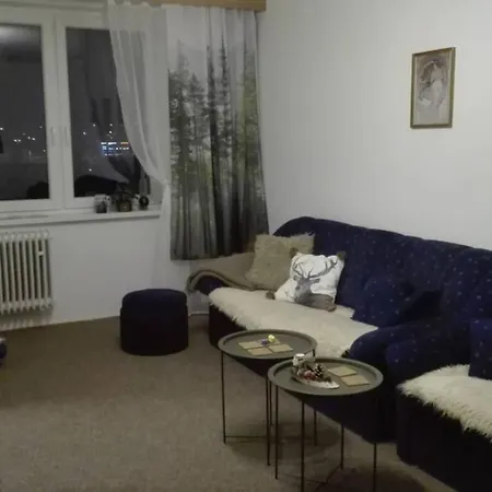 Tatra Mountains View Open-space Apartment, N.92 * 波普拉德