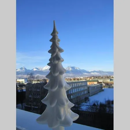 Tatra Mountains View Open-space Apartment, N.92 波普拉德