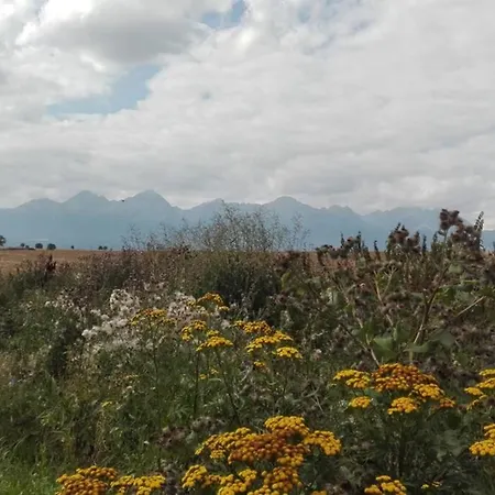 Tatra Mountains View Open-space Apartment, N.92 *